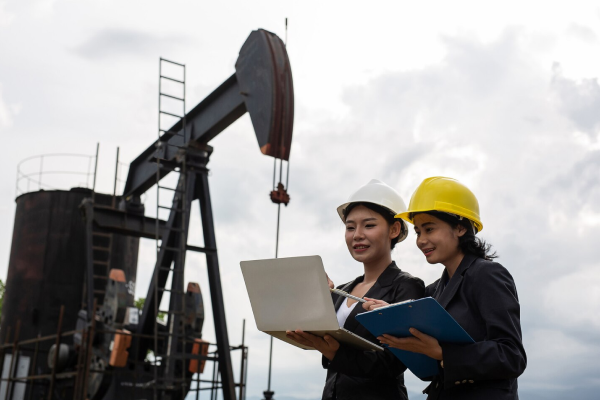 service Petrophysics & Geophysics Engineering